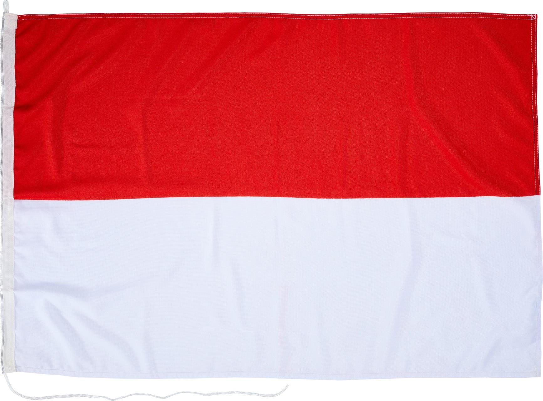 1079-071 Flagge Hindernis