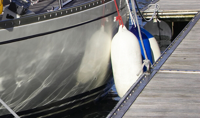 Papillon_020-ausschnitt