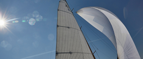 Batteries & accessories