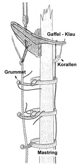 Korallen Korallen
