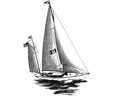 Waar moet het anker opgeborgen of vervoerd worden?