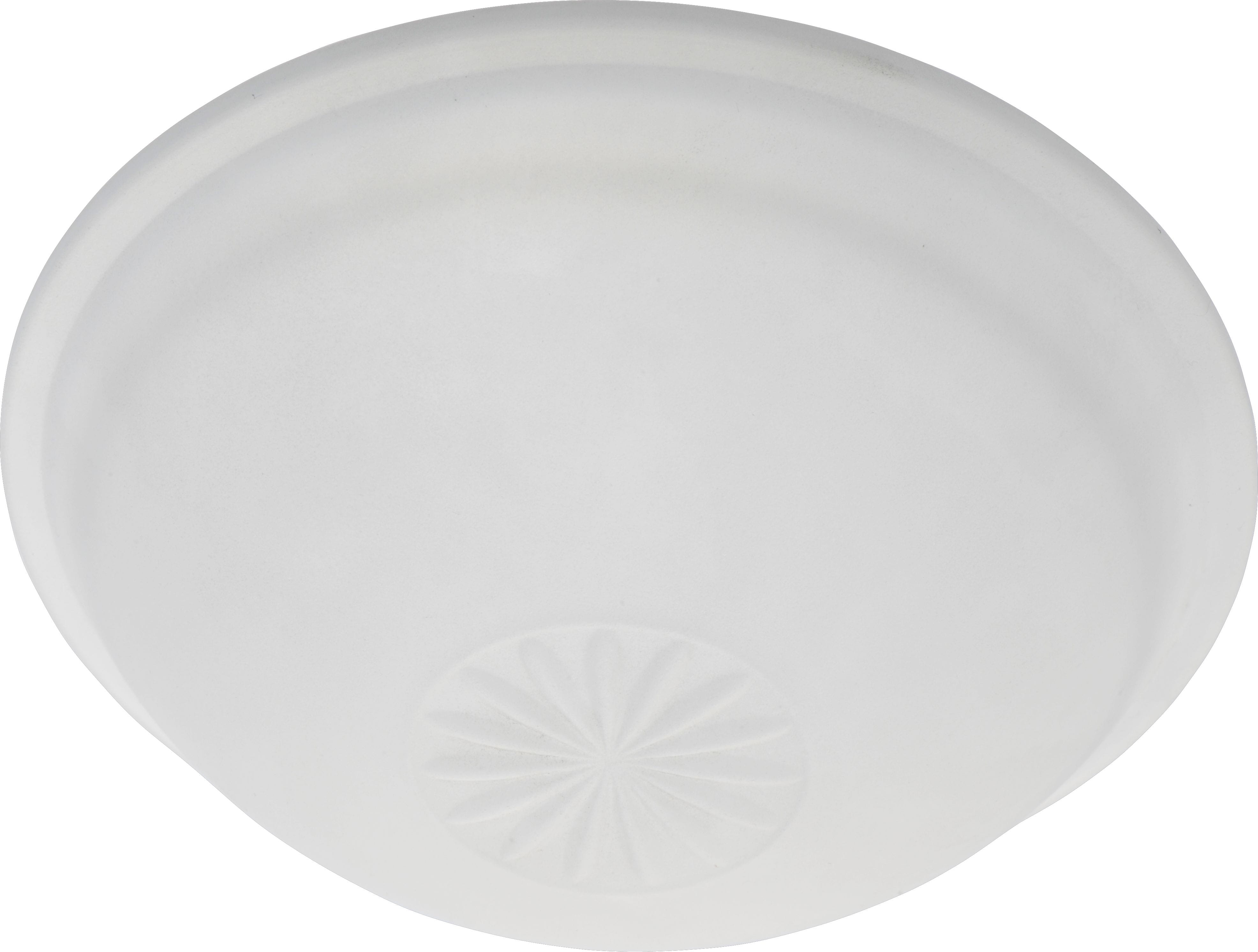 Replacement glass with for ceiling lamp FORESTI Replacement glass with for ceiling lamp FORESTI