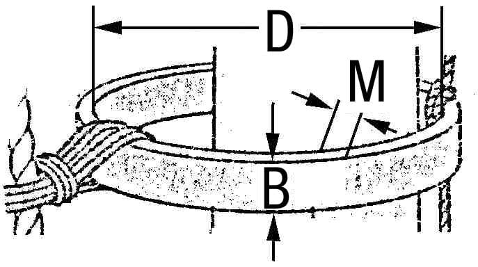 1397*01 Mastringe Esche dampfgebogen und geölt Mastringe Esche dampfgebogen und geölt