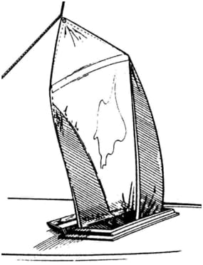 Windfänger Windfänger
