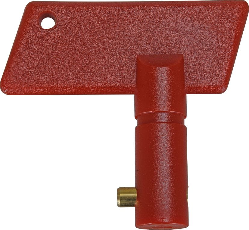 4213*02 Schlüssel für Batterie-Hauptschalter