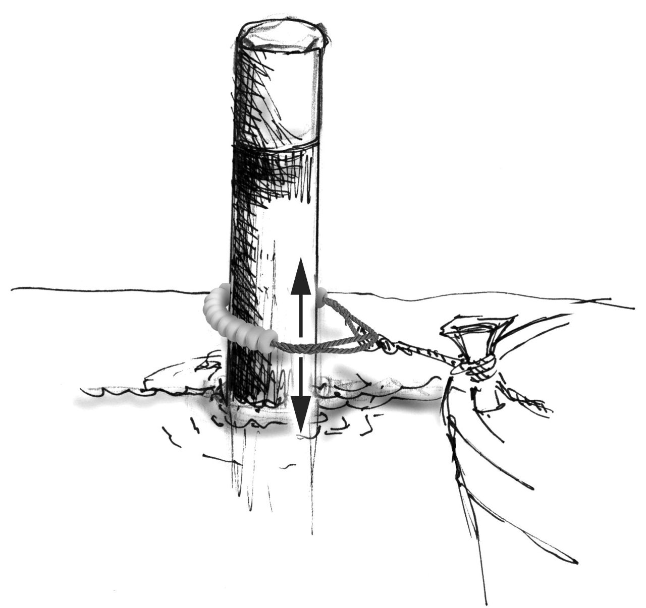 1693*02 Dalben-Festmacher MOORING - Bild 2