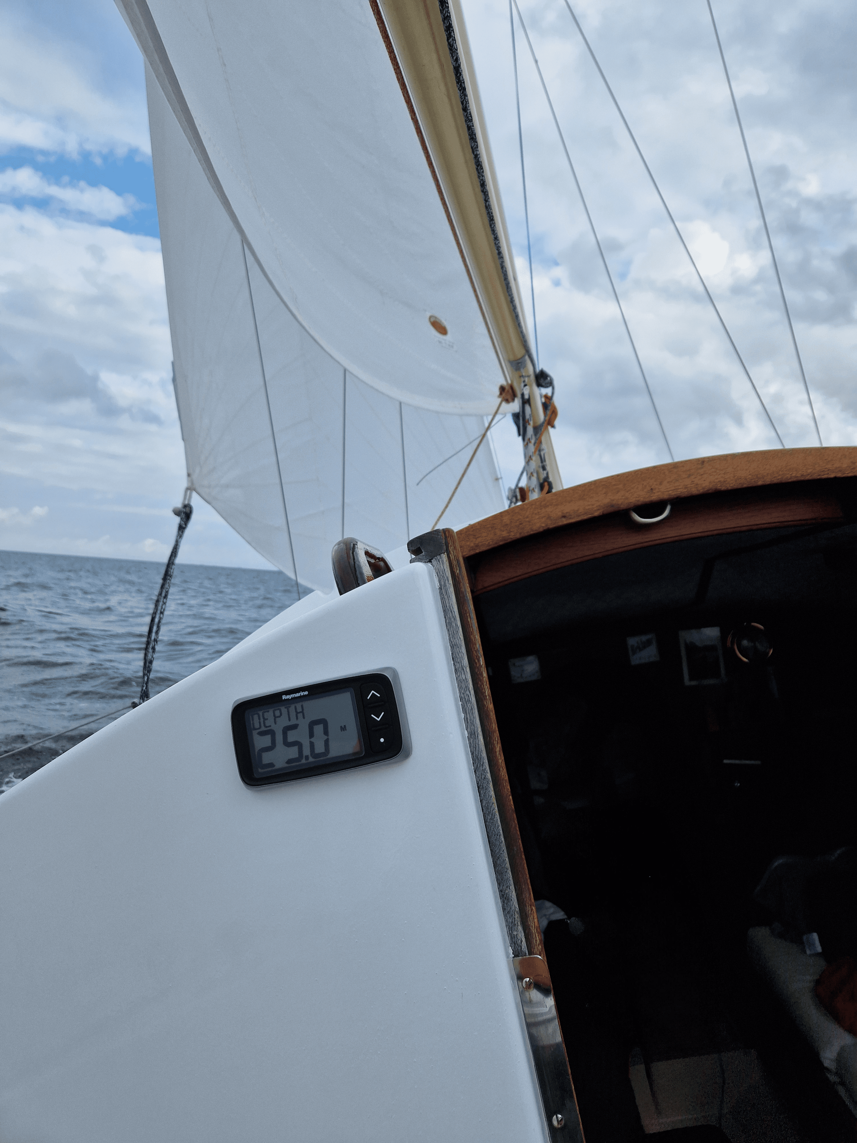 Raymarine-i40-Mausi