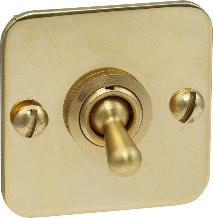 Switch with wall plate DAVEY Switch with wall plate DAVEY